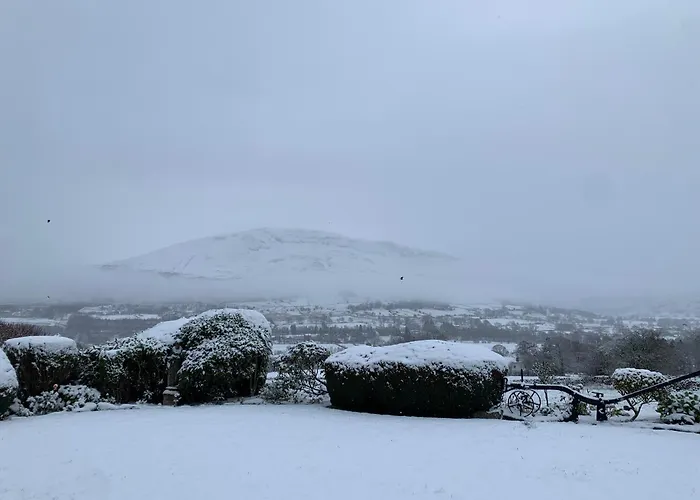 Apartment Vale View *